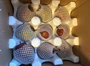 新疆庫爾勒彩虹梨當季新鮮水果整箱果園現(xiàn)摘脆甜紅梨順豐 5斤 【精選中果帶箱】商超品質(zhì)脆甜多 曬單實拍圖