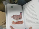 聽(tīng)，動(dòng)物在說(shuō)什么？·昆蟲(chóng)與鳥(niǎo)類(lèi)（一本可以聽(tīng)到動(dòng)物聲音的兒童科普書(shū)） 曬單實(shí)拍圖