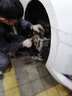 博世（Bosch）陶瓷配方剎車片適用于 前片【前輪左右一套】 長安逸動DT CX70 悅翔 V5 V7 歐力威 曬單實拍圖