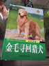 金色炫舞：金毛尋回獵犬 曬單實(shí)拍圖