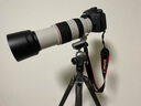 佳能（Canon） 全畫幅單反打鳥超遠(yuǎn)攝變焦鏡頭EF100-400mm f/4.5-5.6L IS II USM適用1DX3 1DX2 5D4 5D3 6D2 90D 搭配樂攝族MC UV+CPL偏振 曬單實(shí)拍圖