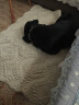 楚克奇（CHUKCHI）狗垫子四季通用中大型犬大号睡觉宠物用品地垫精美绣花毯被沙发垫 凤尾花 XL号90*120CM 实拍图