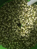 麥卓（MAKE JOY） 豆芽機全自動家用智能發(fā)豆芽生豆芽雙層三層大容量自動泡豆培育機發(fā)芽機 A01雙層+蓄水壓盤 曬單實拍圖