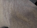 范思藍(lán)恩23FS14447 半高領(lǐng)打底毛衣女冬新羊毛暖厚內(nèi)搭針織衫 米白色 L 曬單實(shí)拍圖