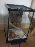 REPTIZOO爬蟲(chóng)飼養箱爬寵蜥蜴守宮蛇烏龜玻璃爬缸倉鼠刺猬角蛙寄居蟹飼養盒 21x21x30cm-睫角推薦 高度適合 曬單實(shí)拍圖