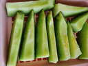 冰火蜜新疆龜茲翠玉留香瓜 綠心哈密瓜甜瓜冰激凌網(wǎng)紋瓜新鮮當季水果龜茲翠玉留香瓜7至8斤裝（2個(gè)裝） 曬單實(shí)拍圖
