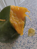 海南正宗大青芒 新鮮應季水果青皮大青芒禮盒裝大芒果 5斤（普通裝） 曬單實(shí)拍圖