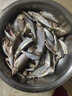迎科翹嘴串鉤白條仿生釣組路亞魚(yú)皮套裝亮片海釣串釣防纏繞蝦皮釣組 仿生魚(yú)皮串鉤5套+15克鉛墜 5號 曬單實(shí)拍圖