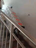 邦可臣電動爬樓機搬運車履帶式上下樓梯爬樓神器折疊式手推車搬家建筑 履帶基礎款800W48V24A-載600斤 曬單實拍圖