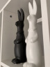 福美林（FUMEILIN）北欧摆件家居饰品摆设现代客厅酒柜装饰品摆件电视柜结婚礼物摆件 北欧兔兔一对 统一规格 实拍图