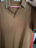 texwood蘋(píng)果牌男裝短袖polo衫夏季男士商務(wù)潮休閑寬松上衣刺繡標涼感短袖 茶色 M (50) 175/92A 曬單實(shí)拍圖