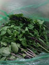 【順豐】新鮮九層塔葉 金不換 冬陰功香料蔬菜 500g 曬單實拍圖
