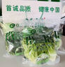 首誠高端蔬菜 美羅 十萬級凈化免洗火鍋西餐輕食沙拉 鮮活蔬菜組合裝（美羅5袋+優(yōu)雅3袋+寶玉來2袋） 曬單實(shí)拍圖