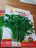 蘇瑞耐寒耐熱香菜種子大葉芫荽陽臺四季香菜種菜種籽種籽農(nóng)家蔬菜種孑 四季香菜【20克】 曬單實拍圖