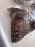 朵芙 碟魚頭新鮮格陵蘭進口深海大鰈魚頭偏口魚比目魚鴉片魚頭碟魚 曬單實拍圖