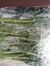 東升農(nóng)場 有機菜心 菜薹 廣東菜薹 火鍋食材廣州供港新鮮蔬菜 300g 曬單實拍圖