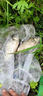 達瓦美紀釣魚(yú)竿裝備全套一套超輕魚(yú)竿手竿套裝鯽魚(yú)短節溪流桿垂釣漁具用品 4.5m +3.6米+實(shí)用全套32件 曬單實(shí)拍圖
