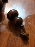木果果木 紅木工藝品 南美紅酸枝（學(xué)名：微凹黃檀）易包漿龍頭葫蘆手把件 隨手盤(pán)玩文玩 手捻把玩件飾品 大號龍頭葫蘆 曬單實(shí)拍圖