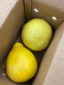 兮柔廣西容縣沙田柚 正宗白柚白心大果純甜現摘當季新鮮柚子送禮佳品 大果2個(gè)裝 約4.5斤 曬單實(shí)拍圖