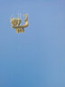 古史紀年（古俄語(yǔ)·漢語(yǔ)對照） 曬單實(shí)拍圖