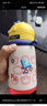 babycare兒童水杯6個月以上寶寶霸王龍不銹鋼保溫杯上學(xué)450ml-新舊款混發(fā) 曬單實(shí)拍圖