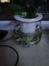 奥美优 自动吸水花盆水培专用C球型全透明PET懒人绿萝盆 （不含绿植） 实拍图
