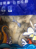 七冰東 八爪魚 鮮活冷凍去牙去內(nèi)臟小八爪魚長腿國產(chǎn)章魚海鮮水產(chǎn)軟足類 三去八爪魚 5斤(凈重)  無冰衣 超大規(guī)格10頭/斤 曬單實(shí)拍圖
