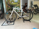 SPECIALIZED閃電 ALLEZ E5 DISC SPORT 碳纖維前叉彎把耐力公路自行車 鴿子灰/酷灰/青銅變色 52 曬單實(shí)拍圖