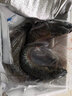 品鮮肴淡水魚生態(tài)草魚草混子青魚漁民自然捕獲整條魚鮮活魚現(xiàn)殺生鮮水產(chǎn) 凈膛后2.4kg/條【6斤活魚現(xiàn)殺】 曬單實(shí)拍圖