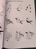 黑白裝飾畫(huà) 手繪創(chuàng  )意線(xiàn)描插畫(huà)實(shí)例教程（繪客出品） 曬單實(shí)拍圖