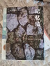 記憶墻（安東尼·多爾作品） 中信出版社 小說 曬單實拍圖