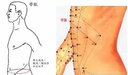 正版現(xiàn)貨 走進中醫(yī)大門的金鑰匙系列叢書 中醫(yī)熟記28種脈象 孫貴香主編 山西科學(xué)技術(shù)出版 曬單實拍圖