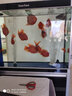臻的魚(yú)缸氧氣泵大功率增氧泵充氧泵養魚(yú)家用增氧機大中型水族箱充氧泵 【線(xiàn)控調節】10W雙10CM氣盤(pán)全配套 曬單實(shí)拍圖