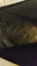 愛諾登（Ainuodeng）莫代爾打底褲女夏薄款外穿九分秋褲內(nèi)穿小腳高腰春秋韓版百搭 莫代爾打底九分款：黑色 XL碼120-180斤 曬單實(shí)拍圖