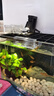 共度（Gong Du）加熱棒小魚(yú)缸自動(dòng)恒溫加溫迷你微型usb石英玻璃養魚(yú)用品加熱器 10W USB供電【插頭自備 小米魚(yú)缸適用】 曬單實(shí)拍圖