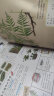 中国植物，很高兴认识你！（函套共4册）5-12岁儿童自然科普绘本图鉴家门外的自然课 实拍图