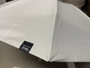 雷柏利全自動(dòng)反向PRO-EX創(chuàng)新雨傘女加固結(jié)實(shí)抗風(fēng)大號(hào)折疊男生車(chē)載傘 甜米白-20抗風(fēng)骨【超疏水EX版】 曬單實(shí)拍圖
