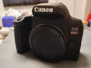 佳能/Canon 550D 650D 760D  850D 二手單反相機 學(xué)生新手入門(mén)級數碼高清旅游 850D【單機】 99新 曬單實(shí)拍圖