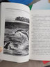 海豚之歌 沈石溪生命史詩(shī)三部曲 開(kāi)篇之作 沈石溪海洋題材動(dòng)物小說(shuō)系列 曬單實(shí)拍圖