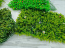 沐鄉田仿真植物墻人造草坪假草皮帶花花藝仿真墻上裝飾綠綠植仿真植物墻 星星尤加利 40x60厘米 仿真草坪 曬單實(shí)拍圖