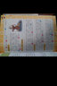 小學(xué)生成語(yǔ)詞典（彩色圖解版）  曬單實(shí)拍圖