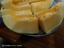 申果果新疆哈密瓜產(chǎn)地直發(fā) 吐魯番西州蜜25號(hào)整箱 新鮮水果網(wǎng)紋瓜精選甜 新疆哈密瓜7-8斤裝（2-3個(gè)瓜） 曬單實(shí)拍圖
