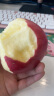 沙窝曙光陕西洛川红富士苹果水果新鲜脆甜冰糖心时令应季丑苹果水果礼盒 爆卖9.5斤75-80mm（净重8.5斤） 实拍图