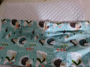 原野春蕎兒童枕頭蕎麥1-2-6-12歲以上加長(zhǎng)幼兒園孩子卡通睡眠枕四季通用 動(dòng)物世界 大號(hào)(6-12歲) 曬單實(shí)拍圖