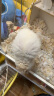 布卡星仓鼠零食组合羊奶布丁15颗+羊奶粉50g+营养膏30g适用于龙猫金丝熊 实拍图