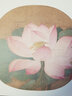 名作經(jīng)典—宋代花鳥小品（二） 曬單實(shí)拍圖