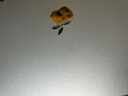 帝伊工坊適用蘋(píng)果筆記本M4電腦機身貼膜macboook Air15 M3保護膜配件M2易貼超薄散熱外殼膜A面+D面A3114 曬單實(shí)拍圖