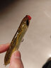 藍旗魚(yú) 王道1#零動(dòng)量浮水鉛筆之字狗水面系遠投翹嘴鱸魚(yú)路亞餌假餌 100mm/17g UV白鰷 曬單實(shí)拍圖