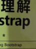 Web開發(fā)技術(shù)叢書：深入理解Bootstrap 曬單實拍圖