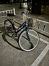 迪路仕（DEROACE）自行車(chē)鎖密碼鎖電動(dòng)車(chē)摩托車(chē)鏈條鎖單車(chē)防盜車(chē)鎖電瓶車(chē)鐵鏈鎖鏈子 灰色(0.6米鏈條) 曬單實(shí)拍圖